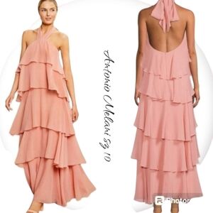 NWT Antonio Melani Chiffon Flowy Maxi Dress sz 10